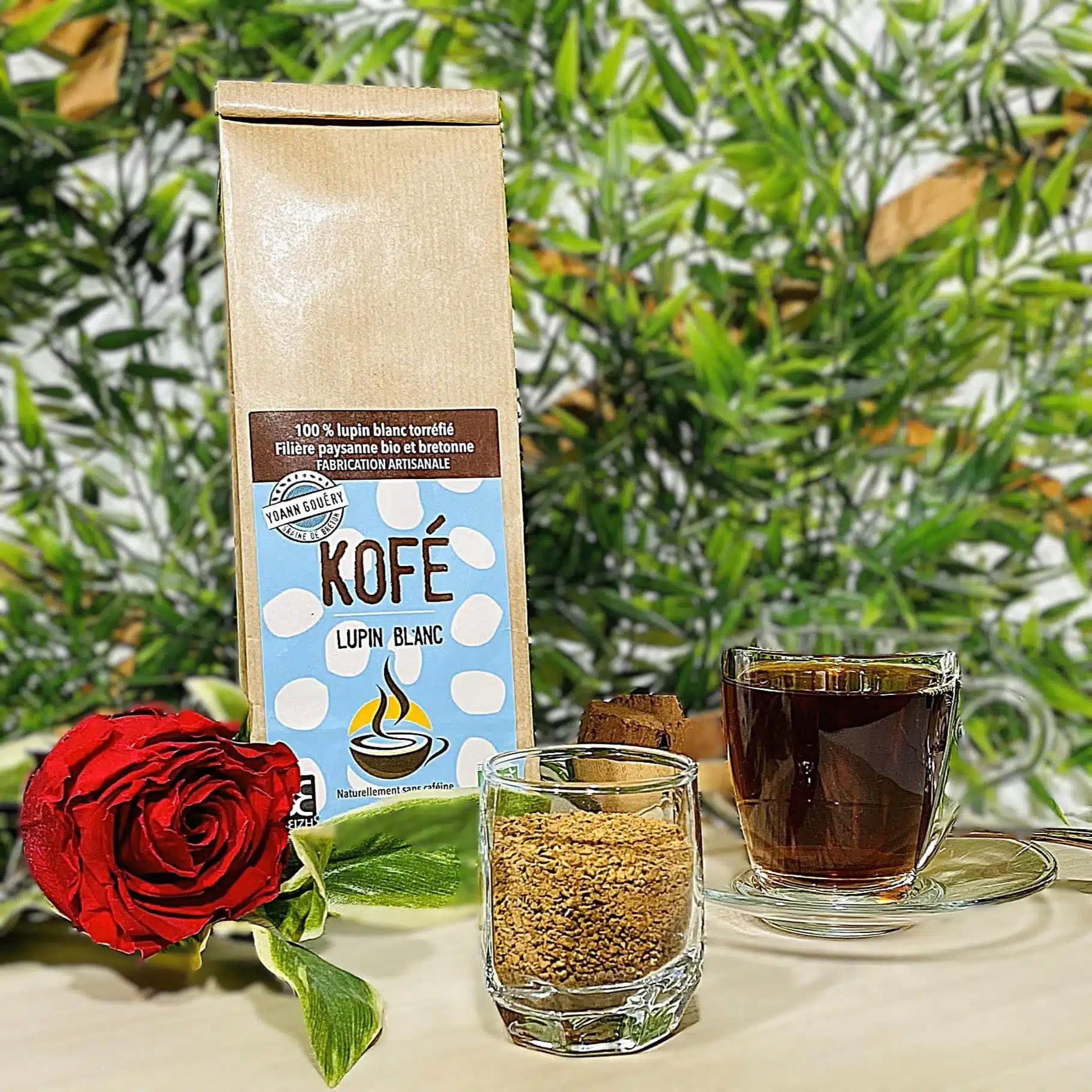 café de lupin blanc bio
