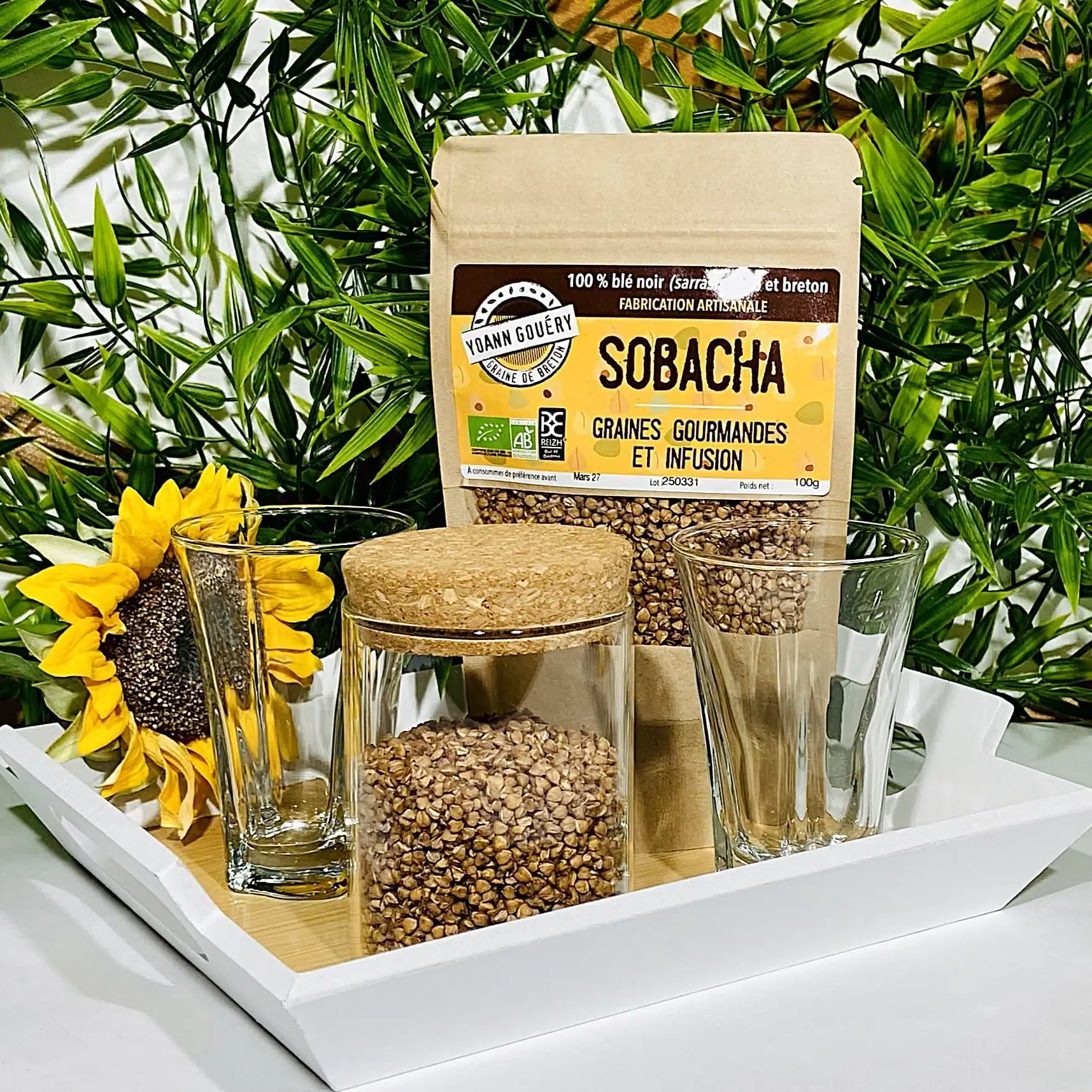 graines de blé noir sarrasin bio produit en Bretagne à croquer